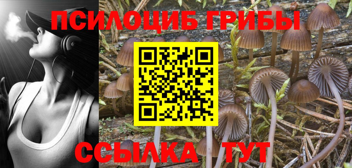 Галлюциногенные грибы Psilocybe  Вход с VPN  Златоуст 